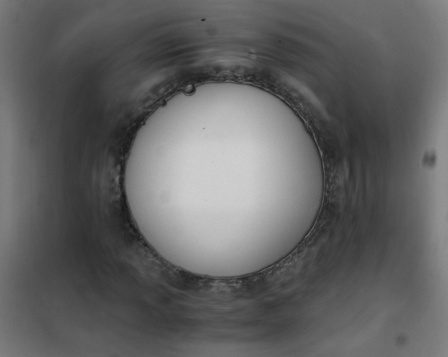 X0000101681013200807241340