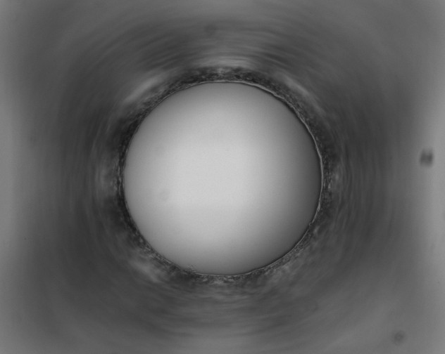 X0000101681014200807241340