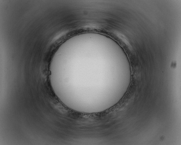 X0000101681015200807241340