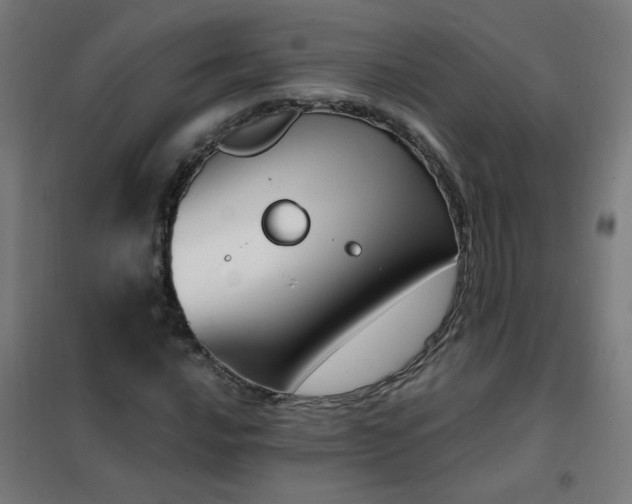 X0000101681016200807241340