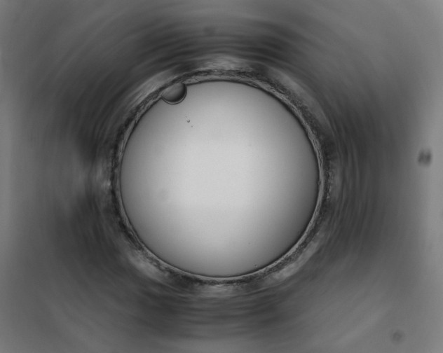 X0000101681017200807241340