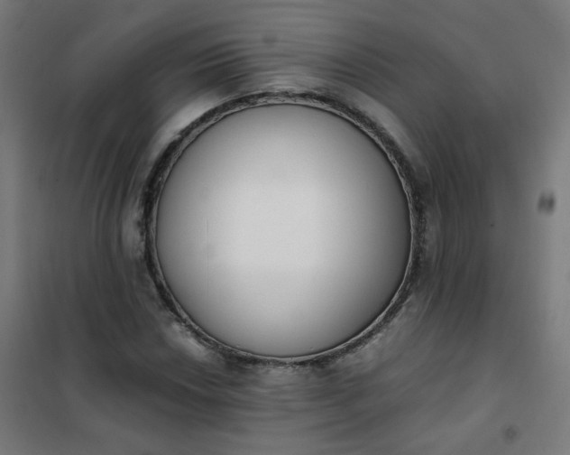 X0000101681018200807241340