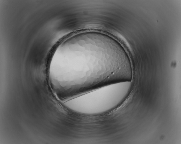 X0000101681019200807241340