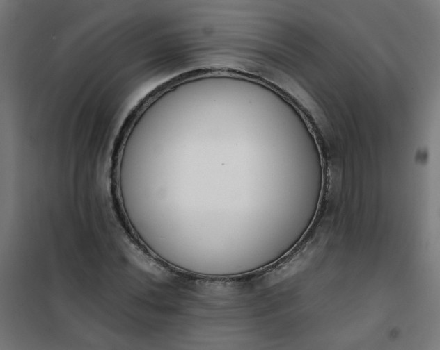 X0000101681020200807241340