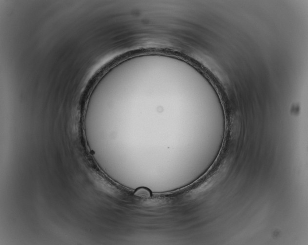 X0000101681021200807241340