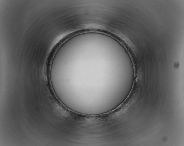 X0000101681022200807241340