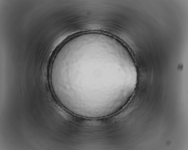 X0000101681023200807241340