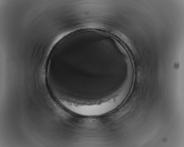 X0000101681024200807241340