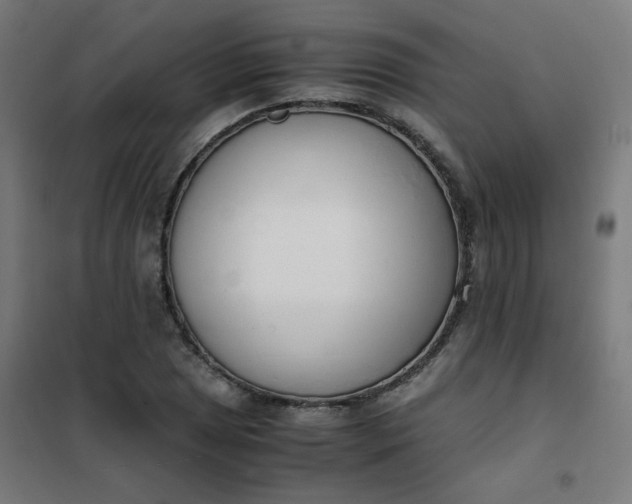 X0000101681025200807241340