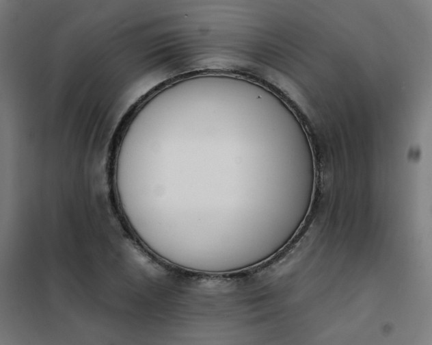 X0000101681026200807241340