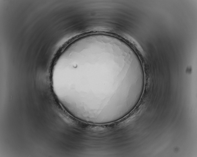 X0000101681027200807241341