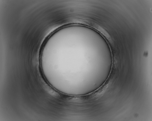 X0000101681028200807241341