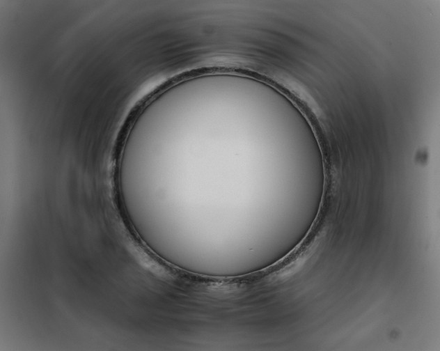 X0000101681029200807241341