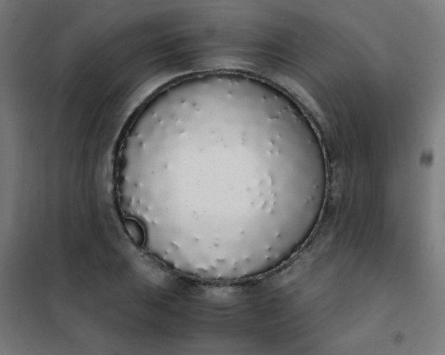 X0000101681031200807241341