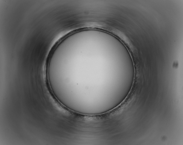 X0000101681032200807241341