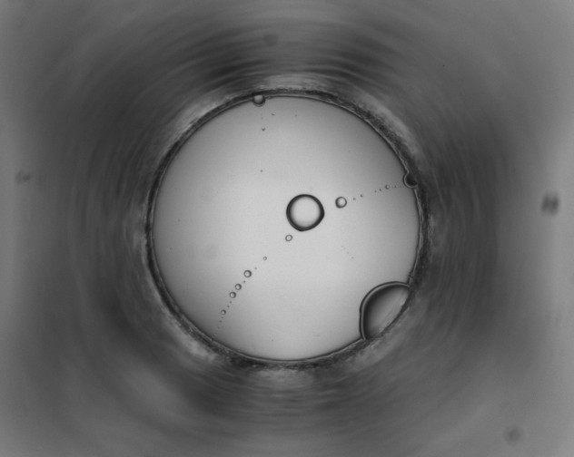 X0000101681033200807241341