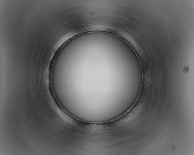 X0000101681034200807241341