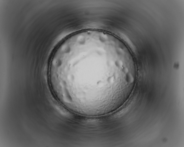 X0000101681035200807241341