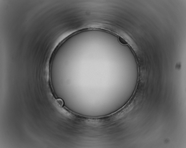 X0000101681036200807241341