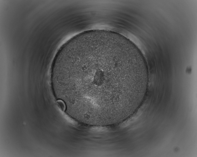 X0000101681037200807241341