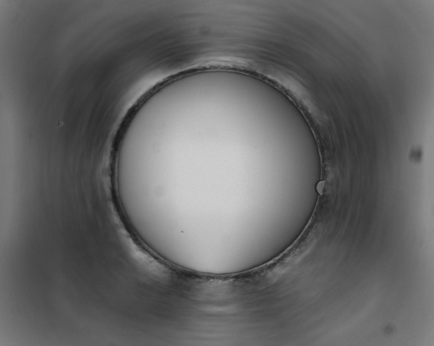 X0000101681038200807241341