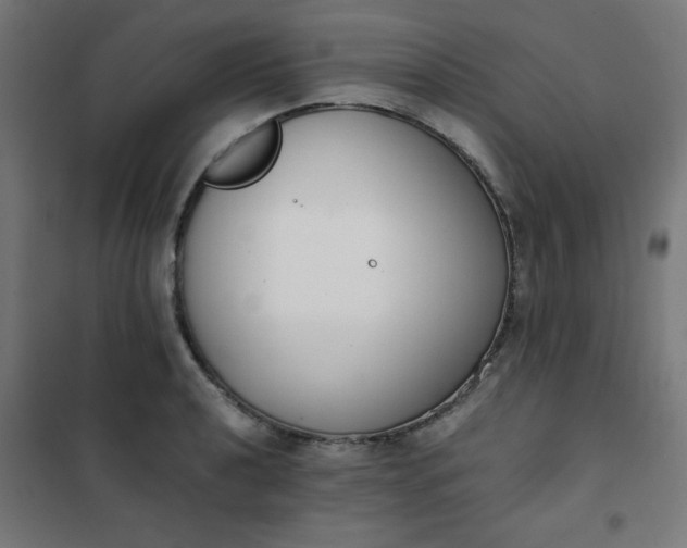 X0000101681040200807241341