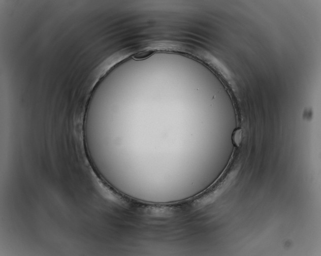 X0000101681041200807241341