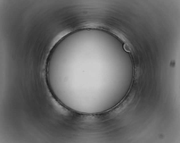 X0000101681042200807241341