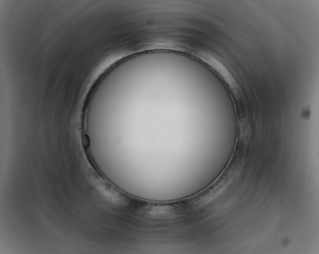 X0000101681043200807241341