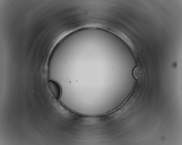 X0000101681044200807241341