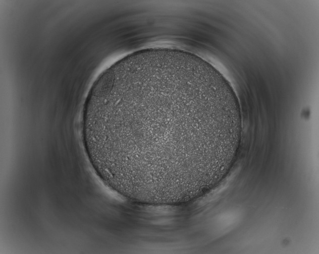 X0000101681045200807241341