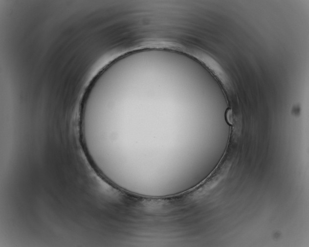 X0000101681046200807241341