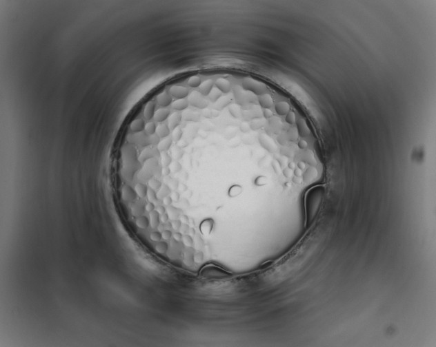 X0000101681047200807241341