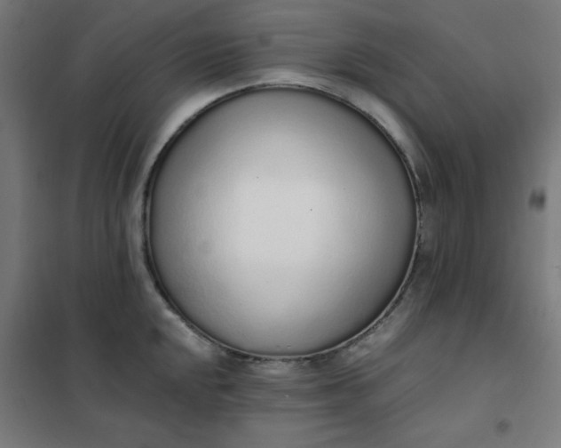 X0000101681048200807241341