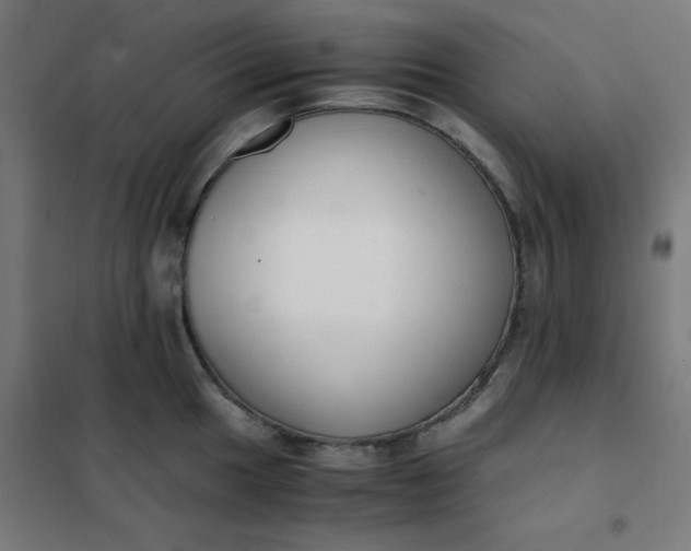 X0000101681049200807241341