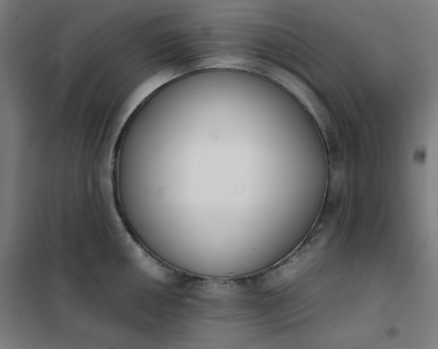 X0000101681050200807241341