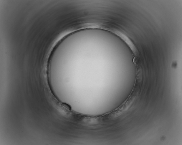 X0000101681051200807241341