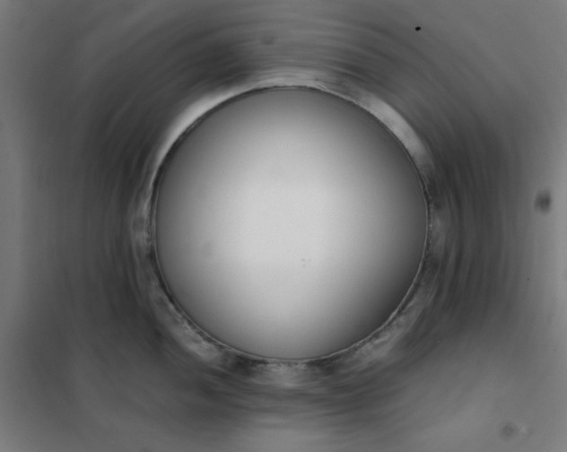 X0000101681052200807241341