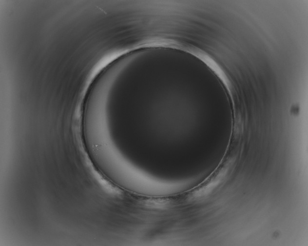 X0000101681053200807241341