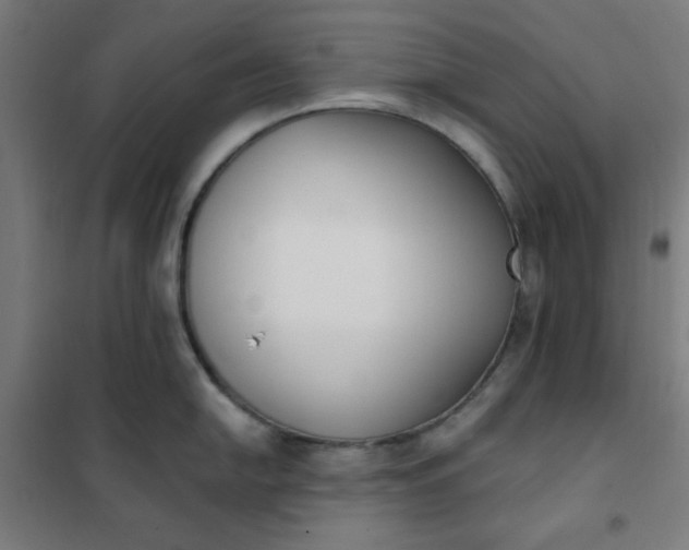 X0000101681054200807241341