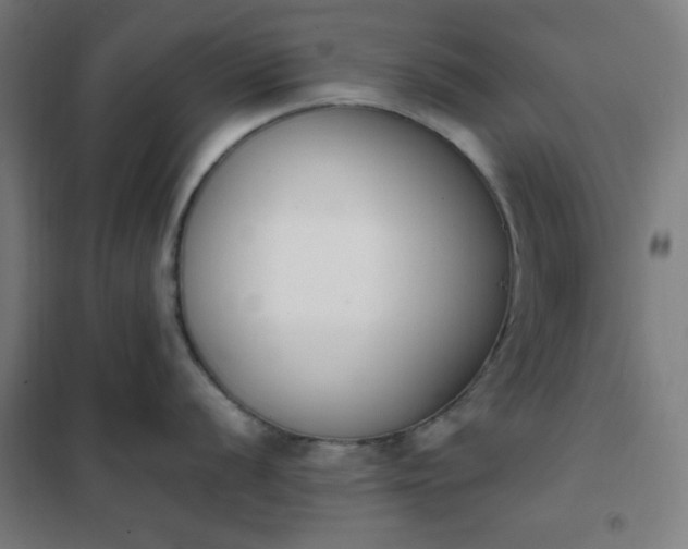 X0000101681056200807241341