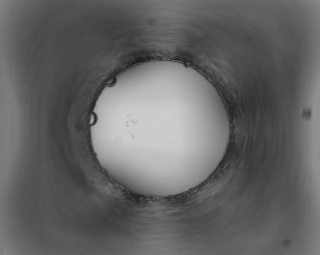 X0000101681057200807241340