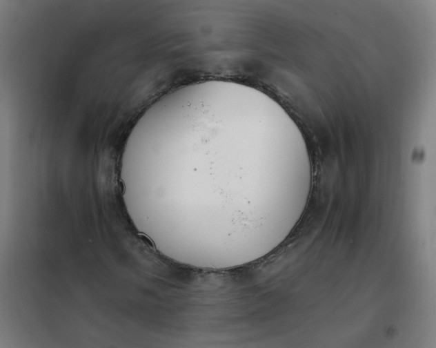 X0000101681058200807241340