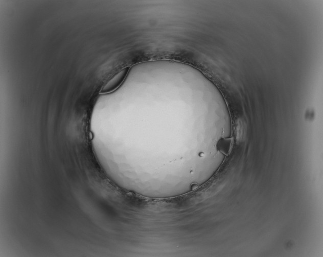 X0000101681059200807241340