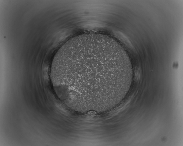 X0000101681060200807241340