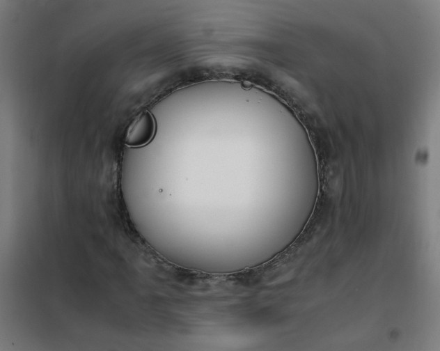 X0000101681061200807241340