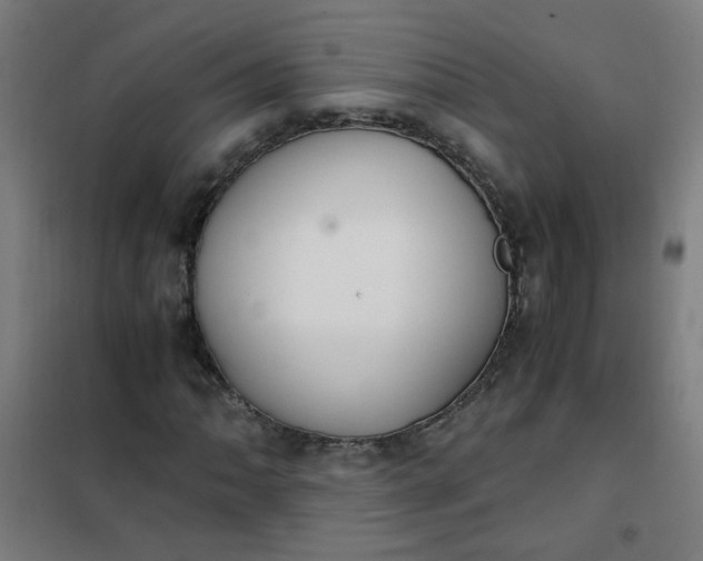 X0000101681062200807241340