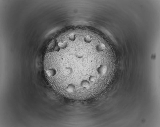 X0000101681063200807241340