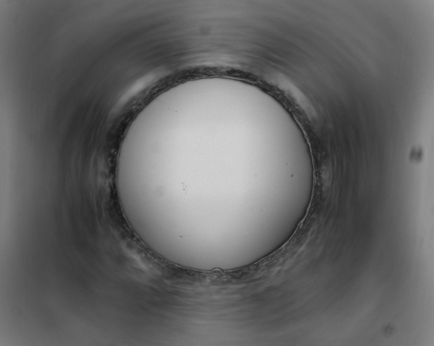 X0000101681064200807241340