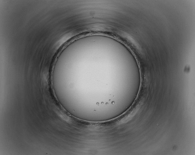 X0000101681065200807241340